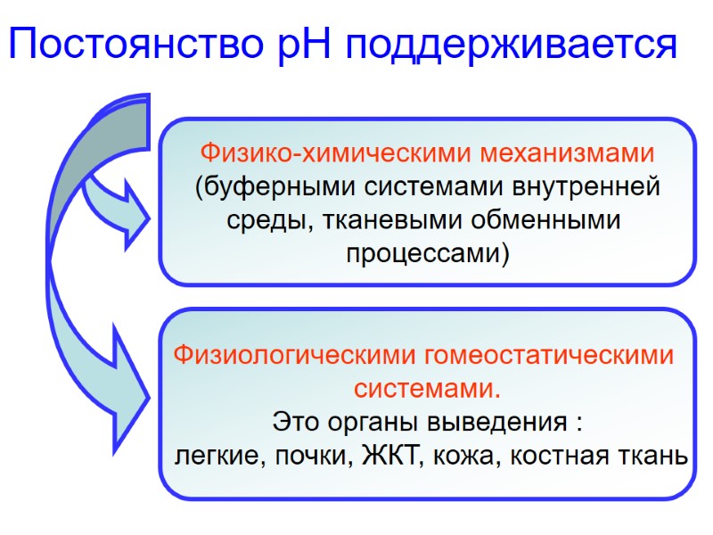 Постоянство рН поддерживается Физико-химическими механизмами (буферными системами внутренней среды, тканевыми обменными  процессами) Физиологическими